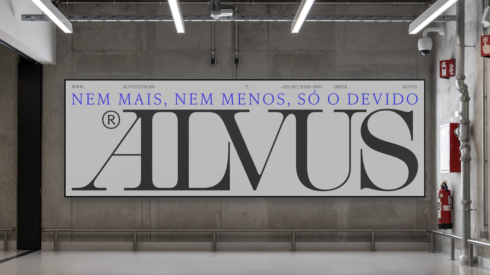 Alvus